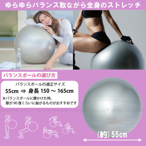 バランスボール 55cm / フィットネス ボール バランス ボール 55 55cm ヨガ ボール エクササイズボール ジムボール ポンプ付 グレー