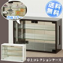 コレクションケース 収納/卓上コレクションケース横型【直】【送料無料】/【ポイント 倍】