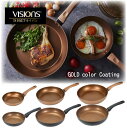 VISIONS GOLD Coating IHΉtCp /tCp dZ~bN IHΉ ΑΉ wgp ϋv \tgnh I[MΉ  ubN S[h