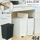 SOLOW ペダルオープンツイン45L / 【送料無料】/ 両開き ペダル式 45Lポリ袋対応 抗菌加工 ゴミ箱 ダストボックス 分別 ごみばこ くず入れ 袋止め付き 棚下 カウンター下 デスク下 シンプル ソロウ