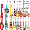 歯ブラシ 3本セット 3~5才 キャップ1個付/【普通郵便送料無料】/キャラクター 園児用 やわらかめ ハブラシ 乳歯 乳歯用 仕上げみがき 仕上げ用 はみがき 子ども 子供 キッズ 3歳 4歳 5歳 保育園 幼稚園 かわいい 男の子 女の子 スケーター