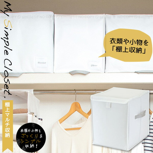衣類 収納袋 クローゼット /MSC 棚上