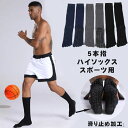 【送料無料】5本指 ジム 体操 バレエ ブーツ ロング丈 ハイソックス 大人 ルームソックス 男性 プレゼント ギフト フィットネス(4)