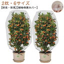【送料無料】鳥よ ネット 果樹園 DIY ベランダ 鉢植え用 園芸用ネット 菜園 植物保護袋 網 【2個セット】植物保護カバー 花壇適用 防虫ネット