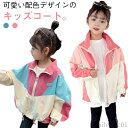 【送料無料】ウ 配色 ジップアップ 防風 子供服 ウインドブレーカー キッズ 女の子パーカー マウンテンパーカー 春 ジャケット 薄手 子供 秋