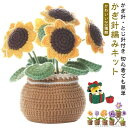 【送料無料】& 説明書 針 かぎ針糸 かぎ針編みフック 手芸キット 手作り 用 初心者 花 かわいい 編みぐるみ かぎ針編みキット かぎ針セット