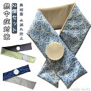 【送料無料】観戦 家庭必須品 熱中症対策 水漏れ防止 2個セット アイシング スポーツ アイスバッグ ネック 無結露 応急処理 首かけ 氷嚢