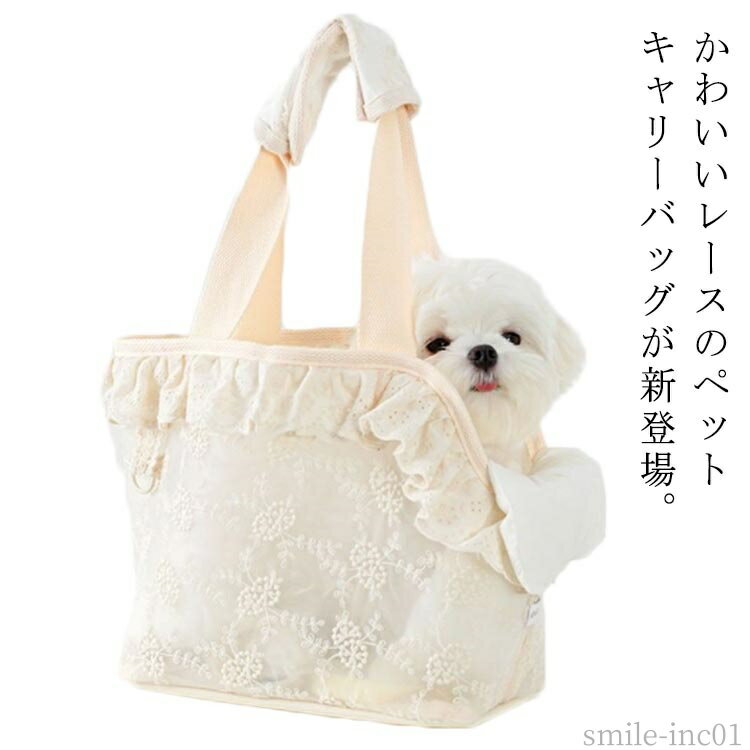 ̵ۥХ ڥå  äɳ ꡼  ڥåȥ꡼Хå Хå ꡼Хå ڥå   ڥåȥ...