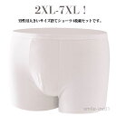 【送料無料】海外旅行 全個包装 4枚入り 男性用 綿 大きいサイズ 温泉 修学旅行 トランクス 保管用 ボクサーショーツ 下着 6XL ショーツ 入院 出張用 携帯 介護 4XL コットン