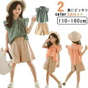 【送料無料】かわいい シャツ キッズ 夏にピッタリ!2点セット 夏服 ハーフパンツ ショートパンツ ボトムス フリル袖 トップス 無料袖なし