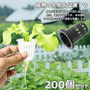 【送料無料】円筒形 苗運搬 野菜栽培 植物栽培 園芸 庭 ガーデンニング 定植かご 水耕栽培バスケット 水耕栽培鉢 半透明 黒 高35 25号