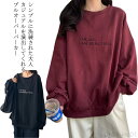 【送料無料】トレーナー 無地 XL 秋 春物 ドライ素材 トップス 秋物 クルーネック コーデ 部屋着 シンプル レディース メンズ スウェット