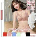 【送料無料】インナー 下着 女性 レディース ガーリー 楽 かわいい セクシー 脇肉 ブラ 脇高 ノンワイヤー セット ショーツ(4)