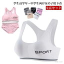 【送料無料】カップ付き ブラジャー パッド付き ジュニア下着セット 無地 インナー キッズ 上下セット 肌着 ジュニアブラ 子供