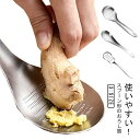 【送料無料】おろしスプーン 使いやすい にんにくおろし 2点セット 生姜おろし おろし器 すりおろし器 わさびおろし しょうがおろし ステンレス製 薬味 おろし...