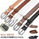 【送料無料】ベルト レディース 幅2cm 調整可能 簡単 大きいサイズ 細ベルト 長持ち 丈夫 5色 カジュアル おしゃれ プレゼント ビジネス ワンピース用 ...