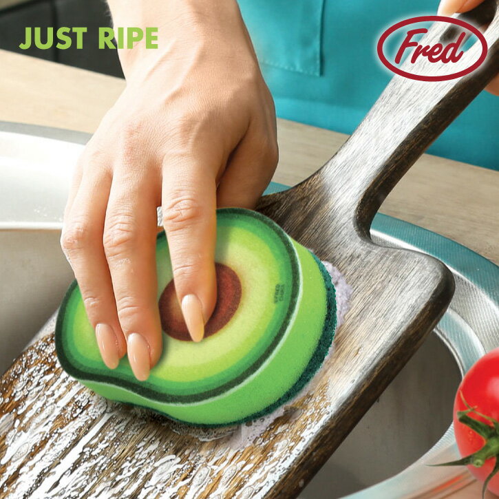 アボカド スポンジ / 【ゆうパケ送料無料】アボカド 断面 モチーフ キッチン スポンジ グリーン かわい..