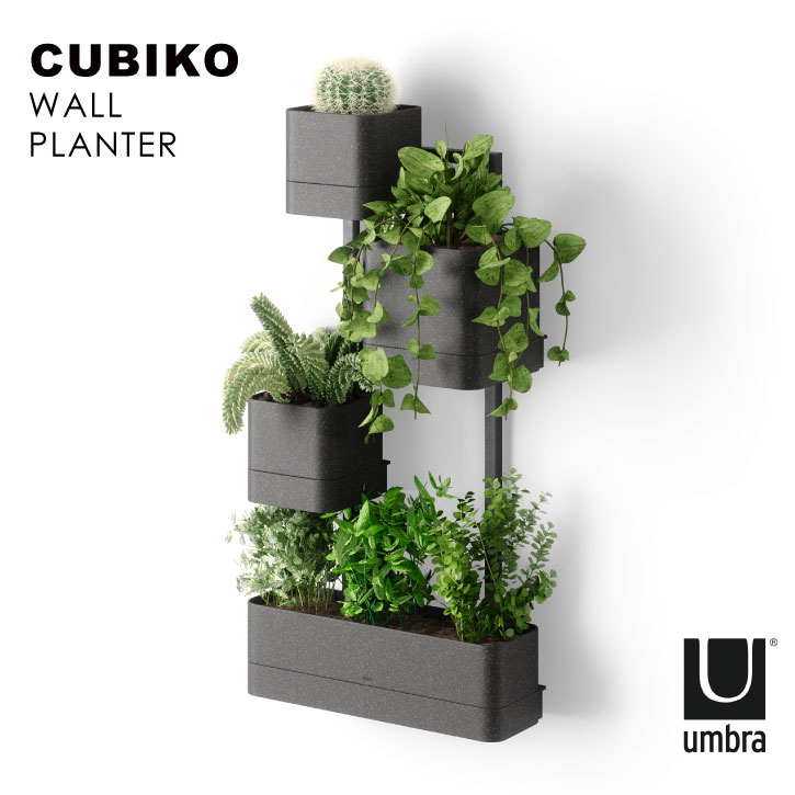 umbra アンブラ /キュービコ ウォールプランター ブラック 21018767040 /【送料無料】壁面 プランター ..
