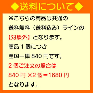 【スタンプラリー対象】 コカ・コーラ ゼロシュガー 500ml 24本 (24本×1ケース) PET ( コカコーラゼロ) 炭酸飲料