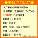 日本食研 ドライカレーの素 600g 時短 簡単 混ぜるだけ スパイシー 2