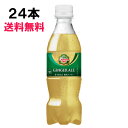 カナダドライ ジンジャーエール 350ml 24本 （24本×1ケース） PET 炭酸飲料 業務用 安心のメーカー直送 日本全国送料無料