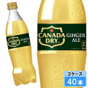 カナダドライ ジンジャーエール 700ml 40本 (20本×2ケース) PET 炭酸飲料 業務用 安心のメーカー直送 日本全国送料無料