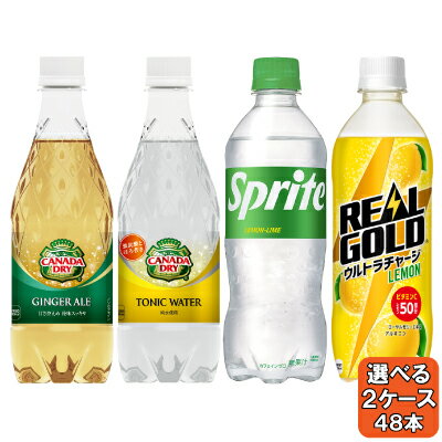 選べてお得！！ 炭酸500ml PET よりどり 2ケース セット 48本 （24本×2ケース） ジンジャーエール トニックウォーター スプライト リアルゴールド