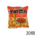 大和製菓 かめせん (30袋)