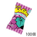 パイン どんぐりガム グレープ (100個)
