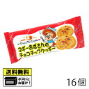やおきん マギーおばさんのチョコチップクッキー (16個) クッキー 駄菓子 メール便