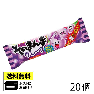 コリス そのまんまガム グレープ（20個） ぶどう ガム 駄菓子 メール便