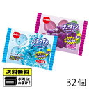 明治チューインガム チューキャン グレープ味&ソーダ味 32個(2種類×各16個) チューキャン 駄菓子 飴 ぶどう味 サイダー味 駄菓子 送料無料 メール便