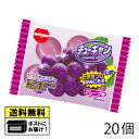明治チューインガム チューキャン グレープ味 (20個) チューキャン 駄菓子 飴 ぶどう味 駄菓子 送料無料 メール便