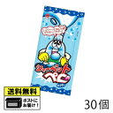 パイン シャーベットペロ サイダー 12g （30個） キャンディ 駄菓子 メール便