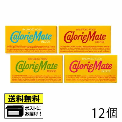 大塚製薬 カロリーメイト CalorieMate 厳選4種 スペシャルパック 12箱セット（4種×各3箱） チョコレート味 フルーツ味 メープル味 バニラ バランス栄養食 栄養補助食品 5大栄養素 非常食 保存食 メール便