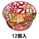 日清食品 どん兵衛 天ぷらそば 100g (12個)
