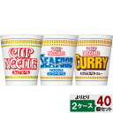日清食品 カップヌードル 選り取り (20個×2ケース) シーフード カレー