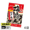 春日井製菓 塩あめ 144g (4袋) メール便