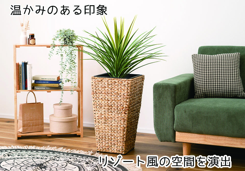 ウォーターヒヤシンス プランターハイタイプ 鉢