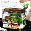 金魚鉢 プラスチック 透明 金魚 水槽 アクリル メダカ水槽 飼育水槽 メダカ鉢 屋外 観葉植物 インテリア メダカ 容器 テーブル アクアリウム ボウル 水培...