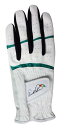ARNOLD PALMER(アーノルドパーマー) Arnold Palmer ゴルフグローブ APG ゴルフグローブ APG-116 メンズ ホワイトXグリーン Mサイズ(4)