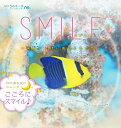2024うみまーるミニムーンカレンダー `Smile−笑顔いっぱい海のともだち' (月の満ち欠け)(3)