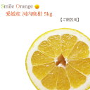 【送料無料】愛媛県産 訳あり 河内晩柑 ご自宅用 宇和ゴールド ジューシー 美生柑 国産 産地直送 文旦 ブンタン グレープフルーツ みかん 柑橘 柑橘系 フル...