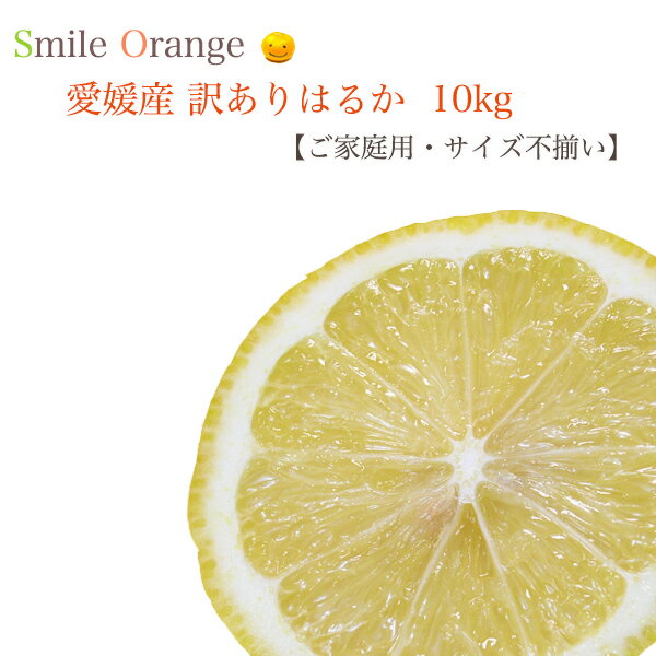 【送料無料】愛媛産 訳あり はるか 10kg ご家庭用 サイズ不揃い ハルカ 産地直送 みかん 愛媛みかん 果物 国産 柑橘 柑橘類 フルーツ 【※送料無料は一部地域を除く】