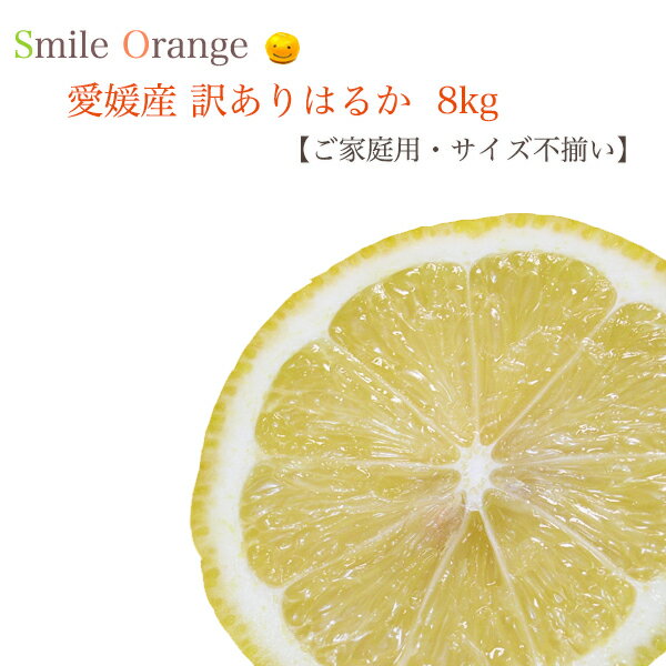 【送料無料】愛媛産 訳あり はるか 8kg ご家庭用 サイズ不揃い ハルカ 産地直送 みかん 愛媛みかん 果物 国産 柑橘 柑橘類 フルーツ 【※送料無料は一部地域を除く】