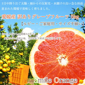 【送料無料】愛媛産 訳あり グレープフルーツ（ルビー）5kg ご家庭用 サイズ不揃い ノーワックス 防腐剤不使用 産地直送 みかん 愛媛みかん 果物 国産 柑橘 柑橘類 フルーツ 【※送料無料は一部地域を除く】