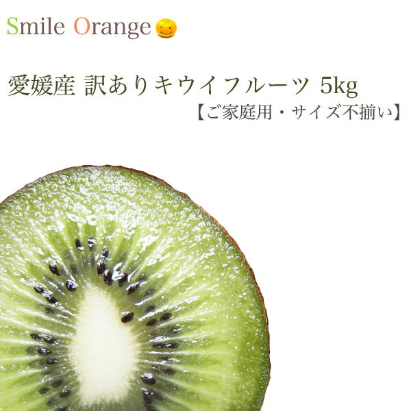 【送料無料】愛媛産 訳あり キウイフルーツ5kg 産地直送 キウイ 国産 kiwi 果物 フルーツ ご家庭用 サイズ不揃い【※送料無料は一部地域を除く】