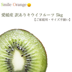 【送料無料】愛媛産 訳あり キウイフルーツ5kg 産地直送 キウイ 国産 kiwi 果物 フルーツ ご家庭用 サイズ不揃い【※送料無料は一部地域を除く】