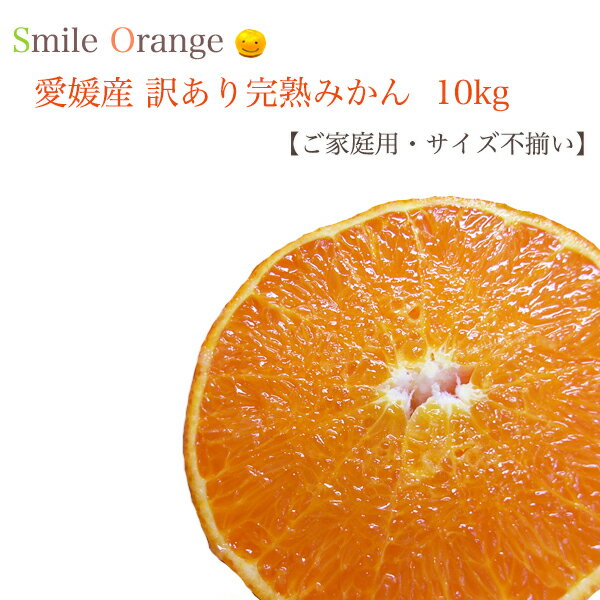 【送料無料】愛媛産 訳あり 完熟みかん 10kg ご家庭用 サイズ不揃い 産地直送 みかん 愛媛みかん 早生みかん 果物 国産 柑橘 柑橘類 フルーツ 【※送料無料は一部地域を除く】