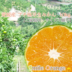 https://thumbnail.image.rakuten.co.jp/@0_mall/smile-orange/cabinet/pgokuwase.jpg